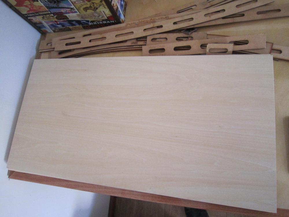 Basswood Laserply - Customer Photo From Hugo H.