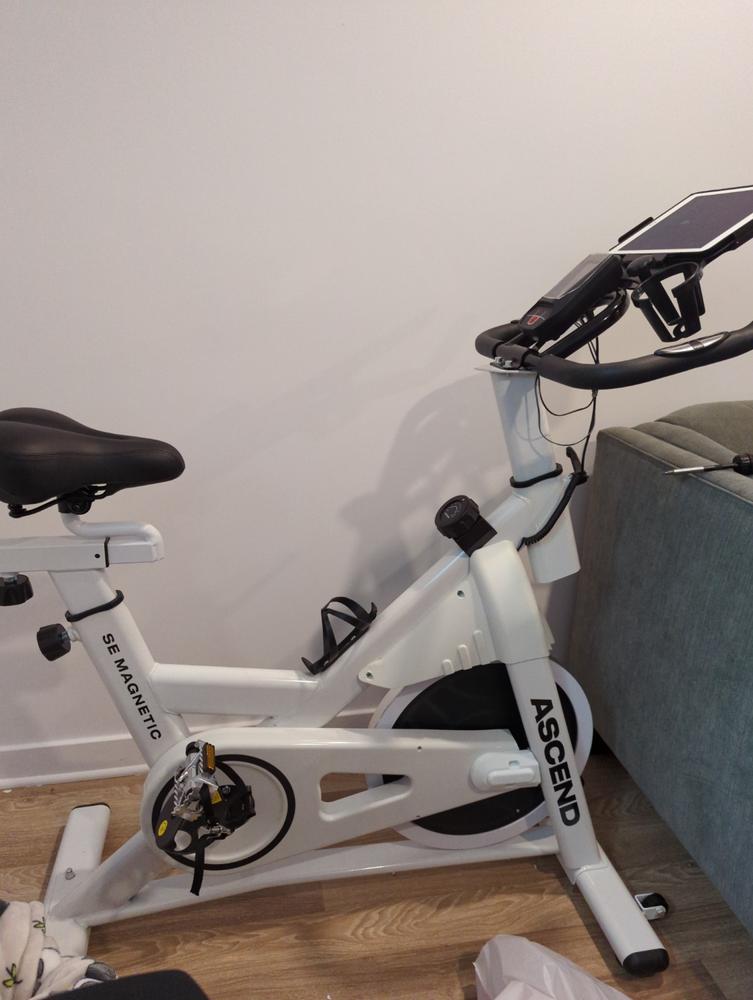 intelligens Billy ged stak Ascend SE Magnetic Spin Bike White | escapeauthority.com