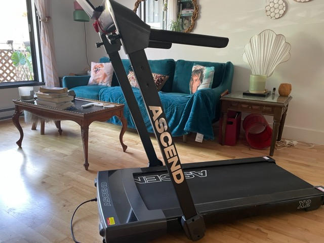 Ascend X2 | Advanced 2 in 1 Treadmill - Customer Photo From Catherine Charbonneau