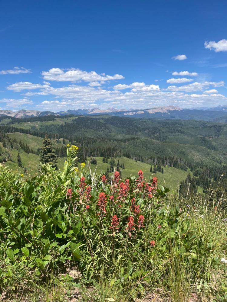 San Juan National Forest SJNF Trail Map, Cortez, Dolores, Rico, Mancos Colorado - Customer Photo From Carolyn R.