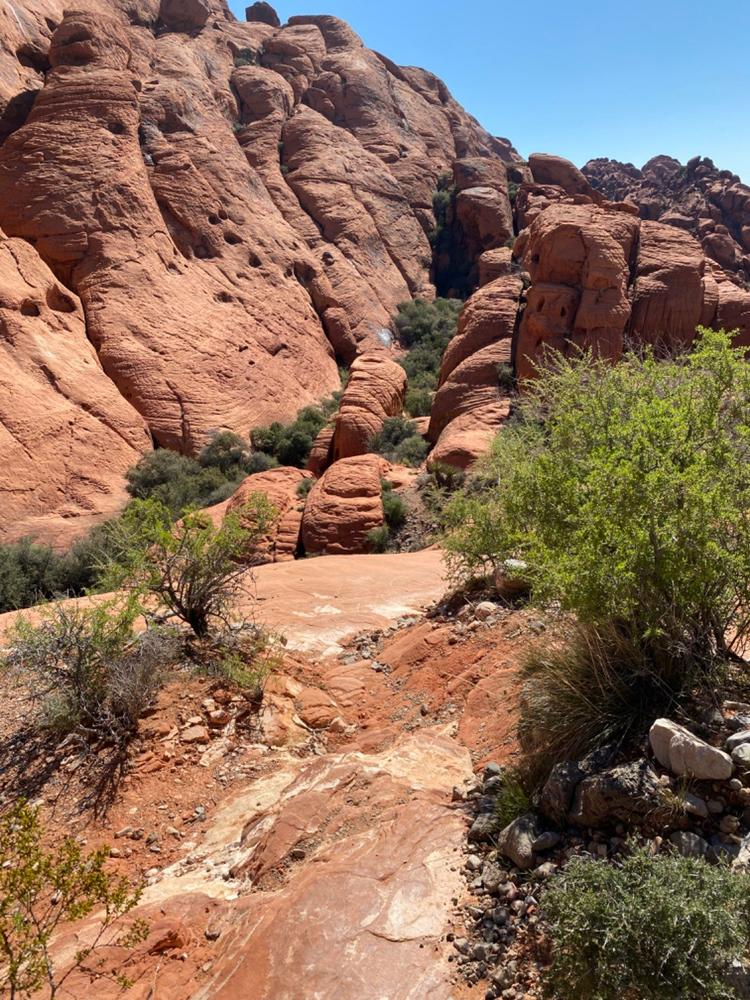 Grand Circle Loop Trail - Customer Photo From Anonymous