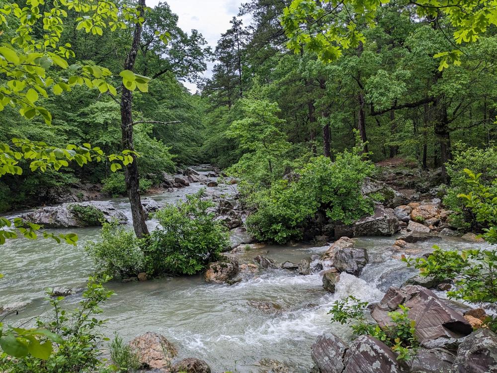 Eagle Rock Loop Trail - Ouachita National Forest - Customer Photo From Anonymous