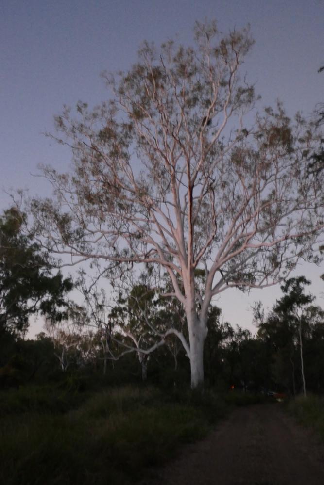 Purnululu National Park - Walardi Campground - Customer Photo From Anonymous