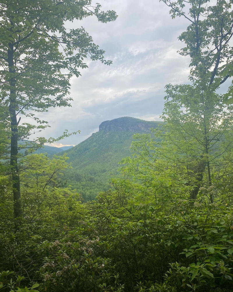 Linville Gorge Wilderness - Customer Photo From Alex B.