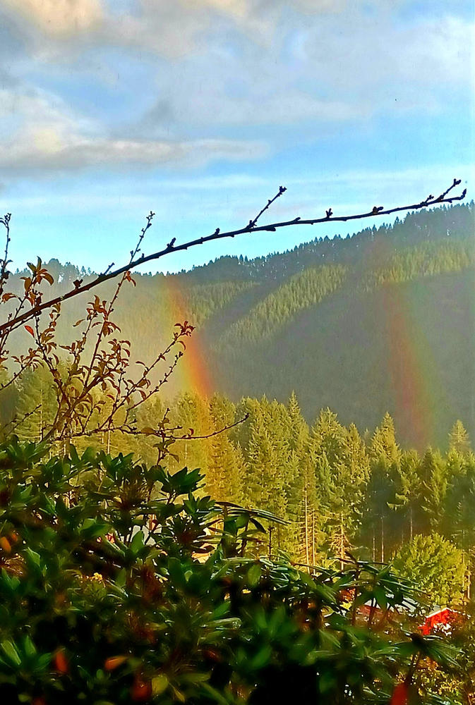 Siuslaw NF - Central Coast RD - Map 3 - Motor Vehicle Use Map - Customer Photo From Anonymous