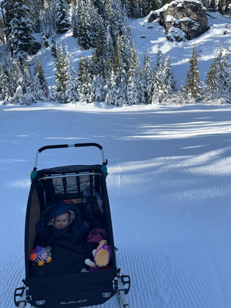 White Pass Nordic Center Trails - Customer Photo From Anonymous