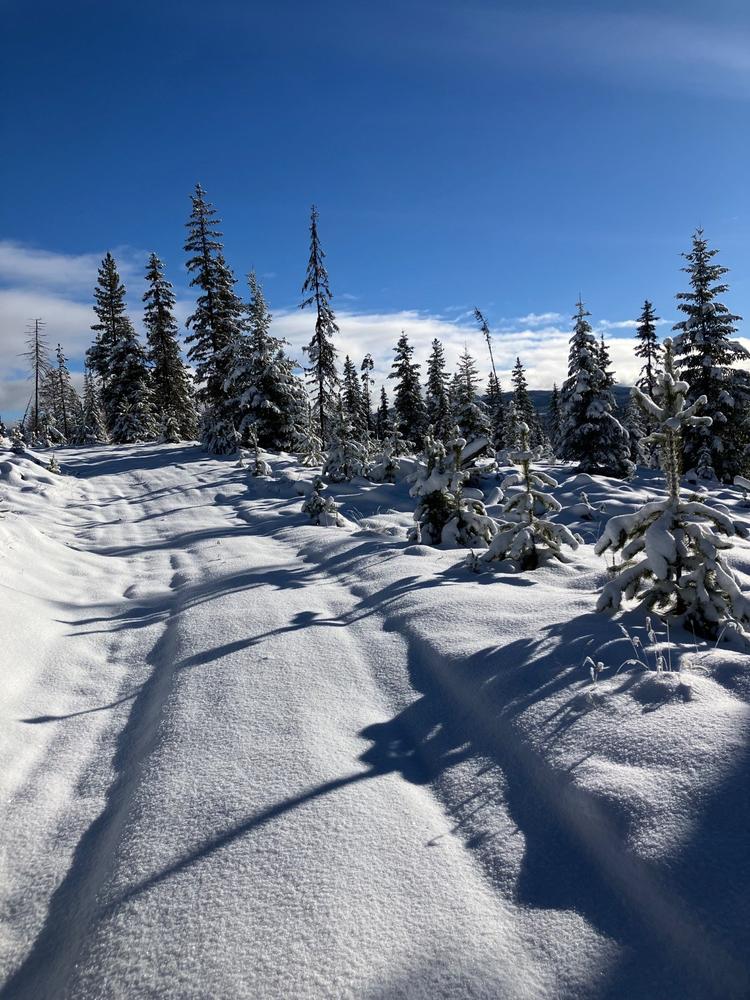 Kelowna Nordic Cross Country Ski Trails 22/23 - Customer Photo From Anonymous