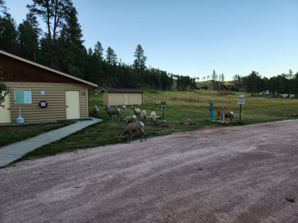 Custer State Park - French Creek Horse Camp - Customer Photo From Anonymous