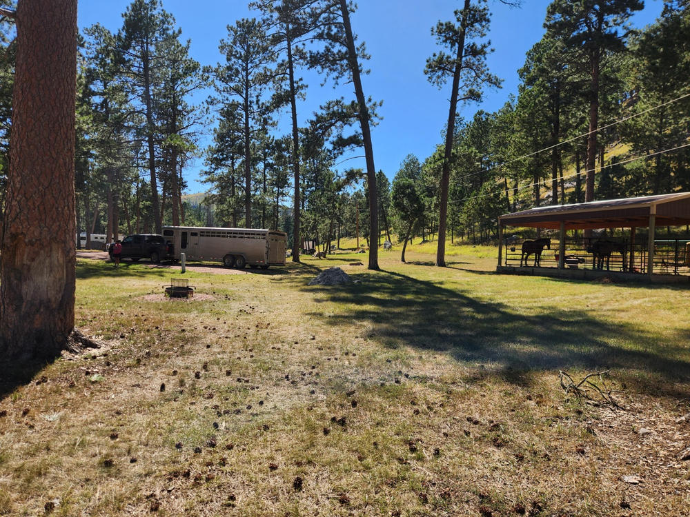 Custer State Park - French Creek Horse Camp - Customer Photo From Anonymous