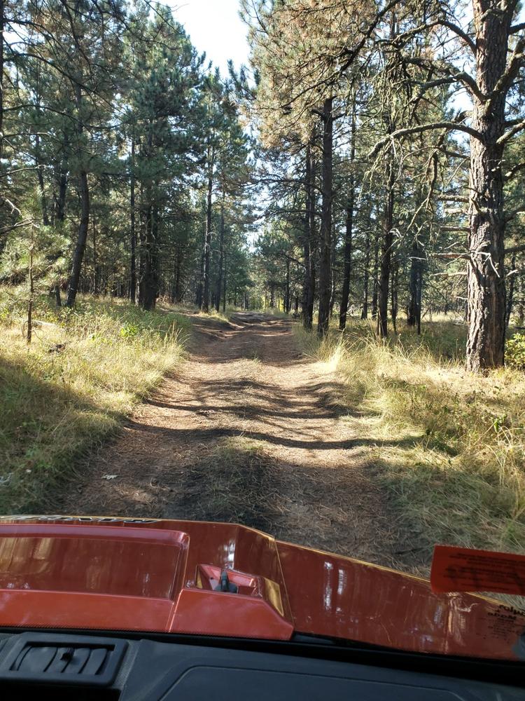 Black Hills NF - Mystic Ranger District - MVUM - Customer Photo From Anonymous