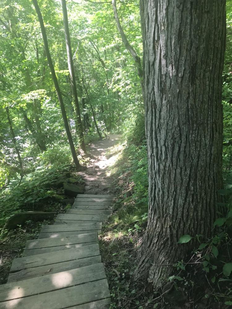 Afton State Park - Summer - Customer Photo From Anonymous