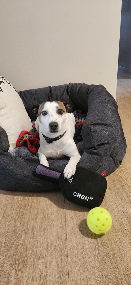 CRBNᴷ⁹ Squeak Dog Toy - Customer Photo From Jason Kerr