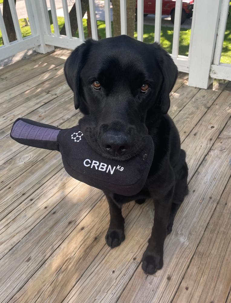 CRBNᴷ⁹ Squeak Dog Toy - Customer Photo From Kelly Messier
