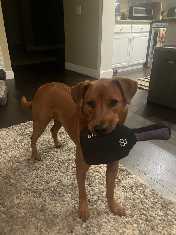 CRBNᴷ⁹ Squeak Dog Toy - Customer Photo From John-Paul Espinosa