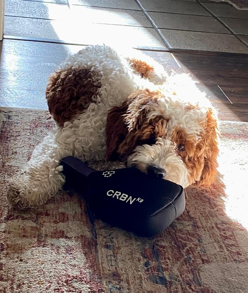 CRBNᴷ⁹ Squeak Dog Toy - Customer Photo From Amy Yarbrough