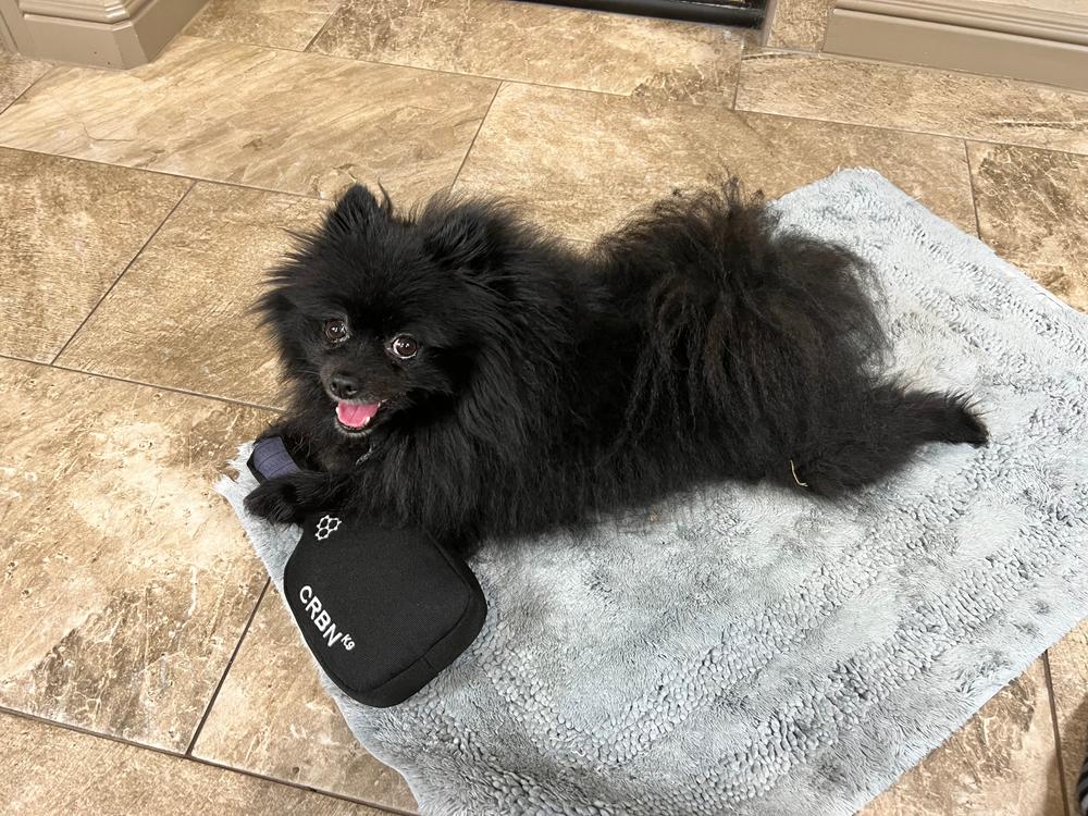 CRBNᴷ⁹ Squeak Dog Toy - Customer Photo From Jacob Hummel