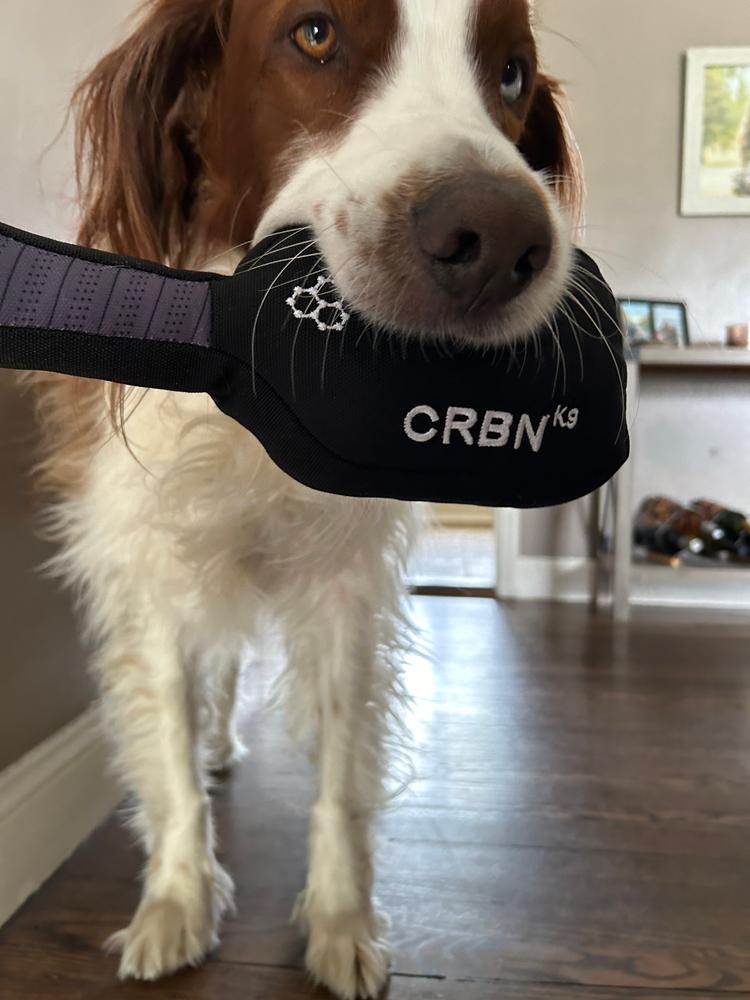 CRBNᴷ⁹ Squeak Dog Toy - Customer Photo From Kaitlin Ginley