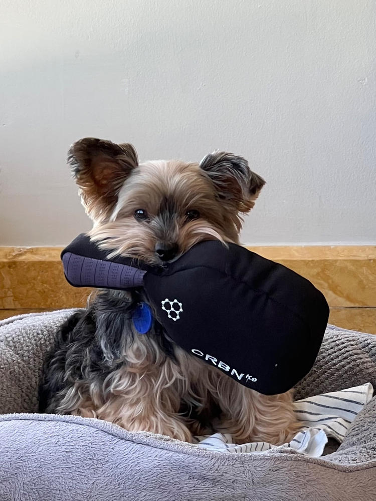 CRBNᴷ⁹ Squeak Dog Toy - Customer Photo From Linda Vizcarrondo