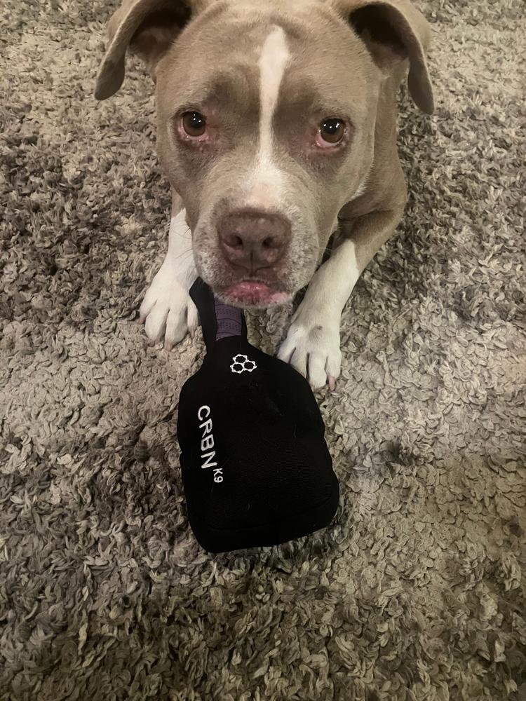 CRBNᴷ⁹ Squeak Dog Toy - Customer Photo From John-Paul Espinosa