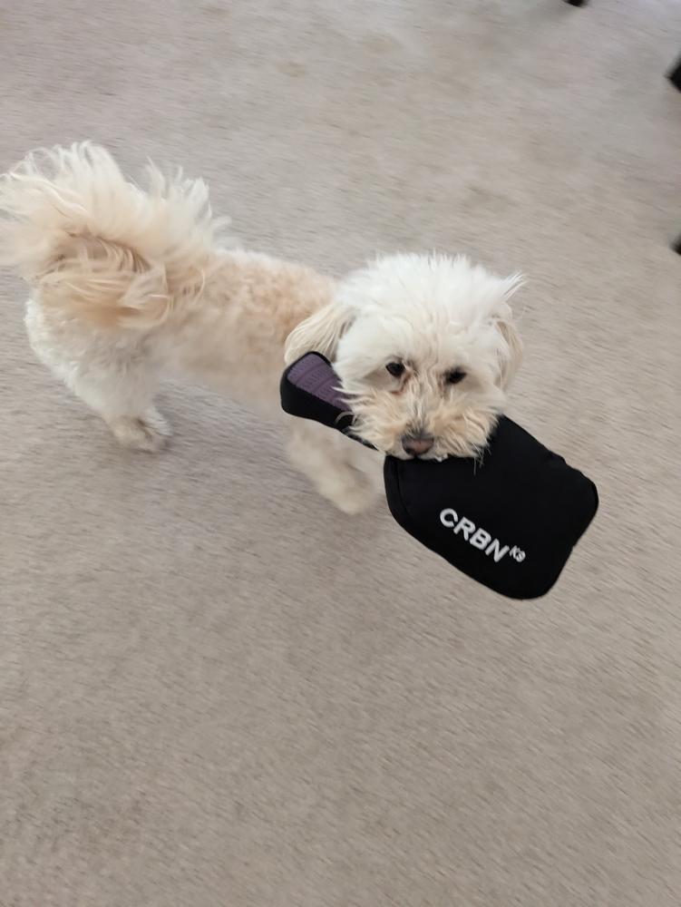 CRBNᴷ⁹ Squeak Dog Toy - Customer Photo From Brandon Carder