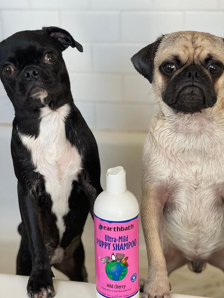 Ultra-Mild Puppy Shampoo - Customer Photo From Claudia