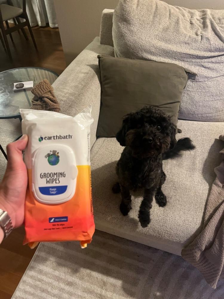 Grooming Wipes - Mango Tango® - Customer Photo From David V.