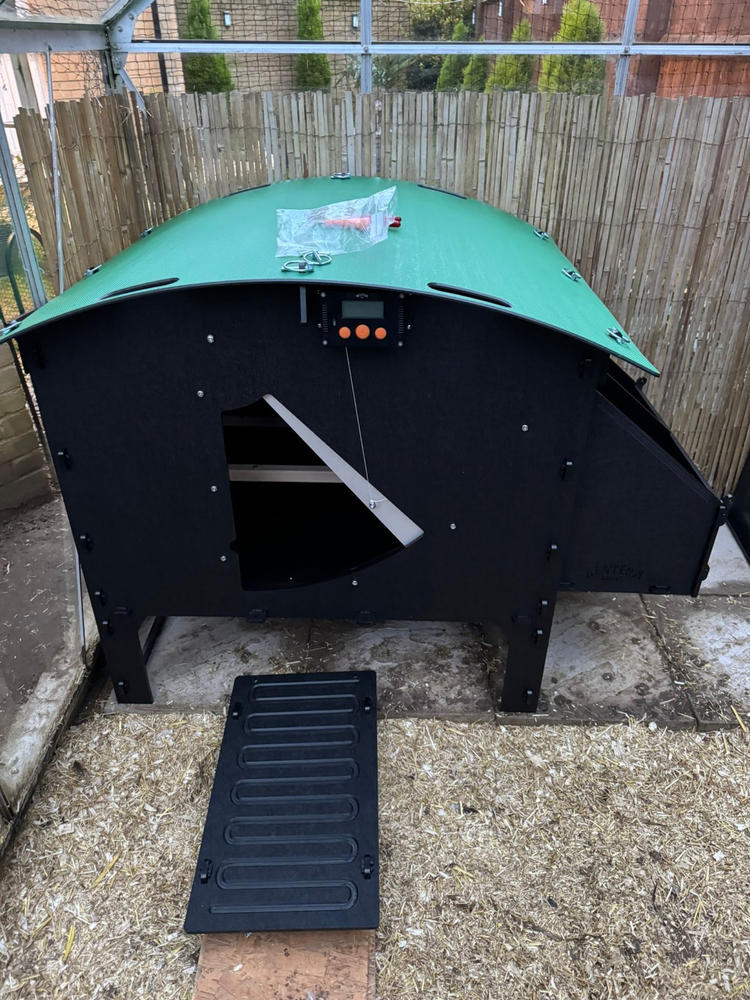 Chicken Coop - Customer Photo From Andreea Mihut