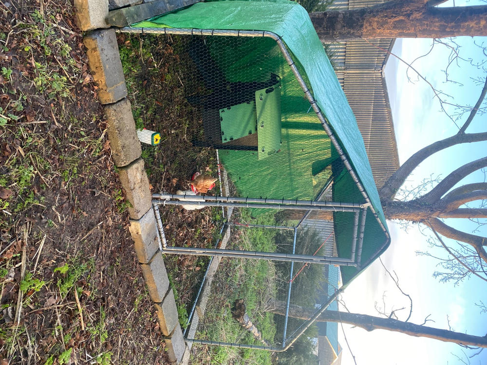 Chicken Coop - Customer Photo From Mandi Stephens