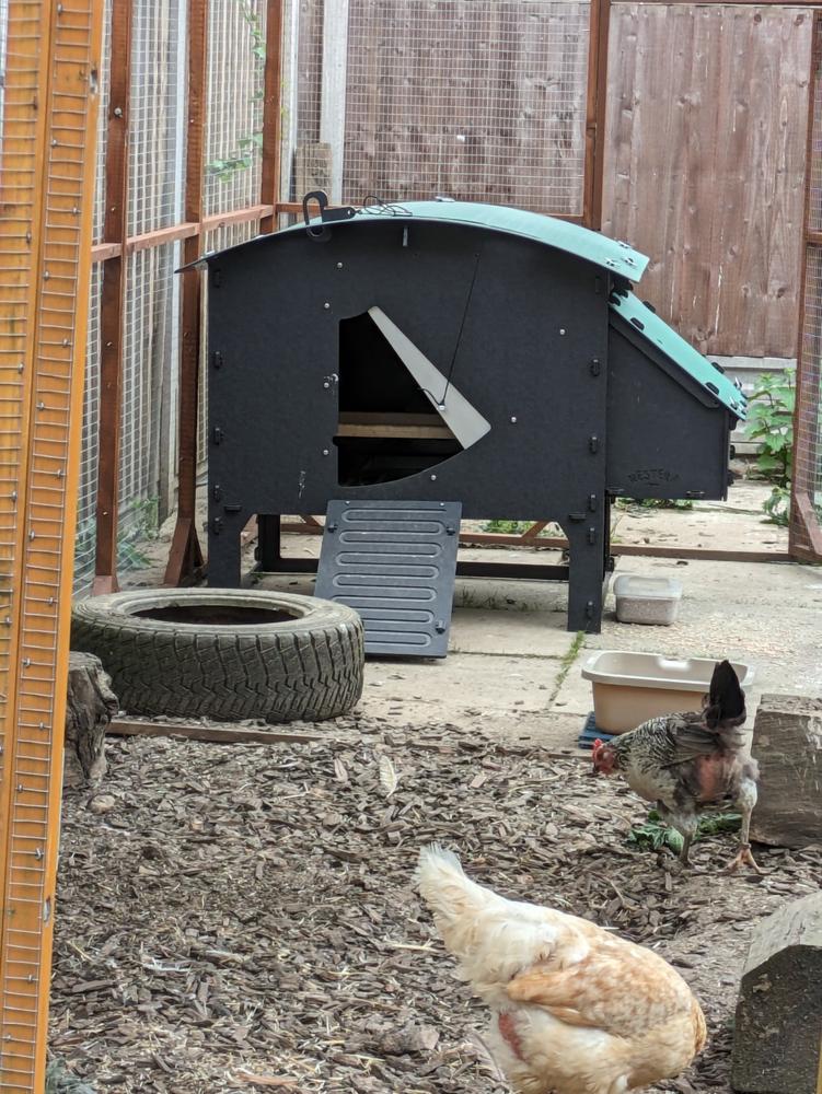 Chicken Coop - Customer Photo From Carole Smith