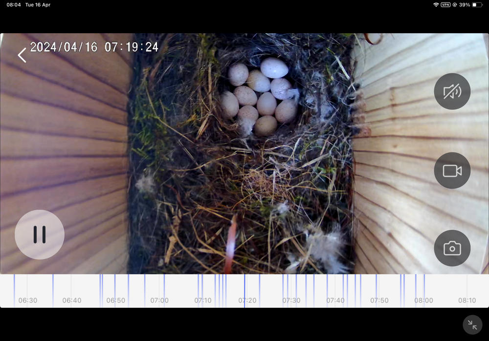 WiFi Battery Bird Box Camera with Solar Panel - Customer Photo From Stewart Nisbet