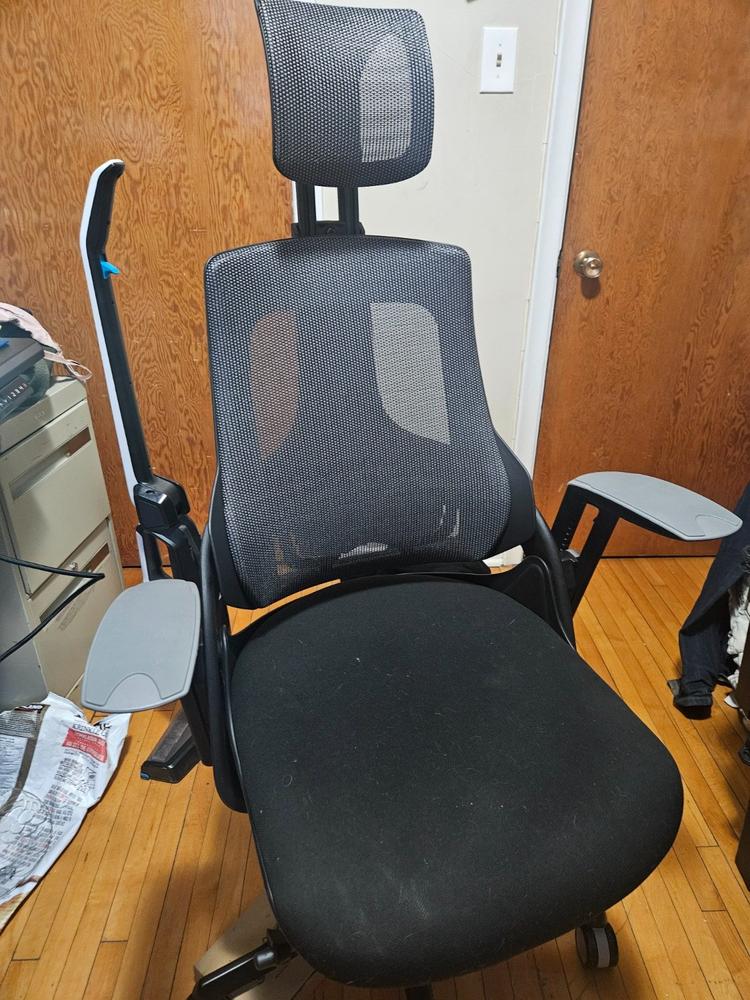 Ergonomic Chairs Australia Loves  Adjustable Office Chairs - Desky®