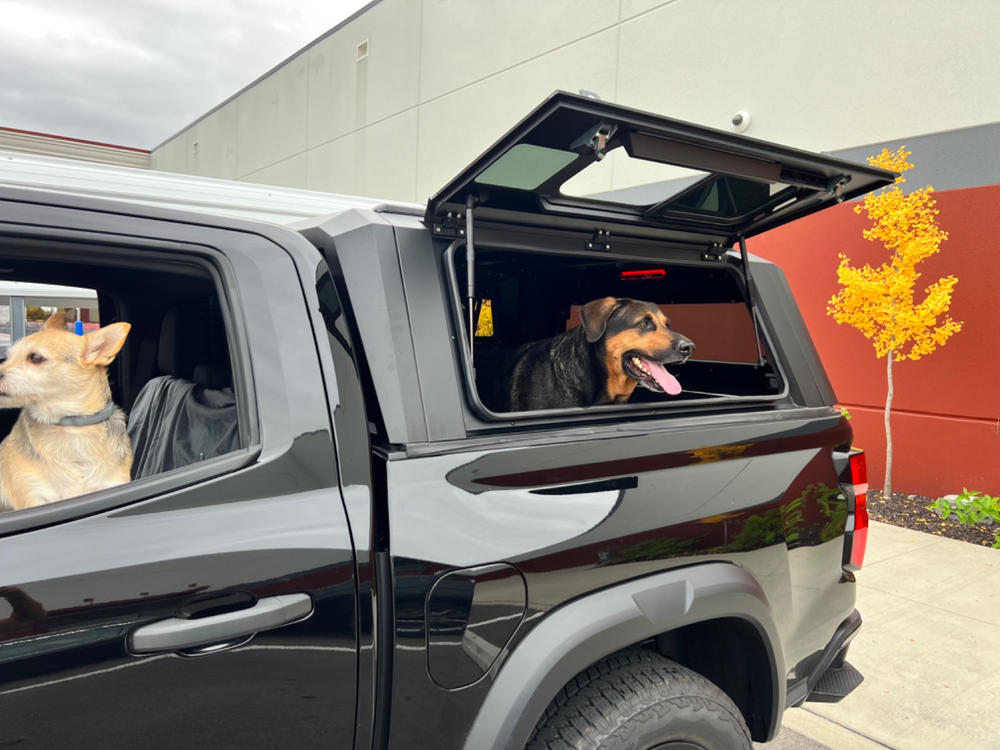 Dog in truck bed with outlet cap