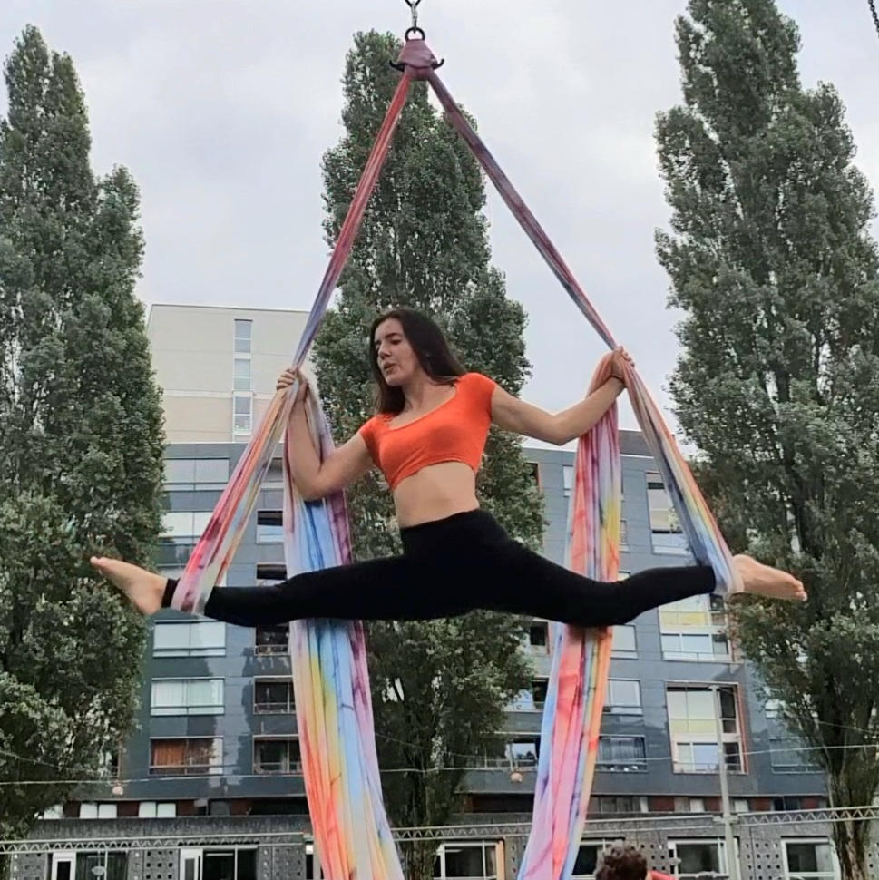 Printed Aerial Silks Set with All Hardware - Customer Photo From Lucia DAcunto
