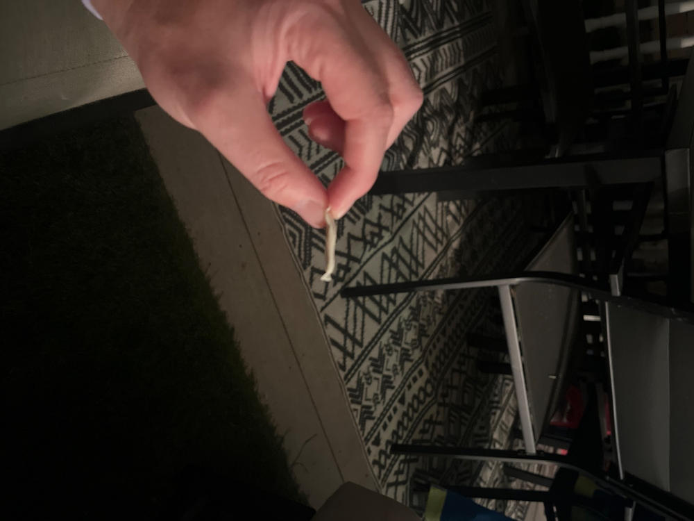 Sesh+ Mint - Customer Photo From Ryan Hutchinson