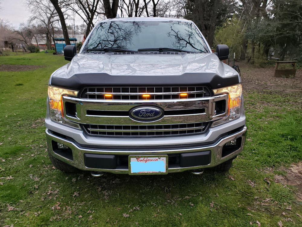 Ford F150 2015 - 2020 Raptor Style Extreme LED Grill Kit - Customer Photo From Larry W.