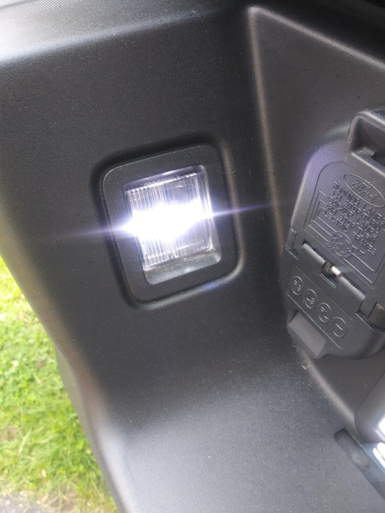 2015 - 2020 LED Platinum Tag LED Light Bulbs - Customer Photo From Drew M.