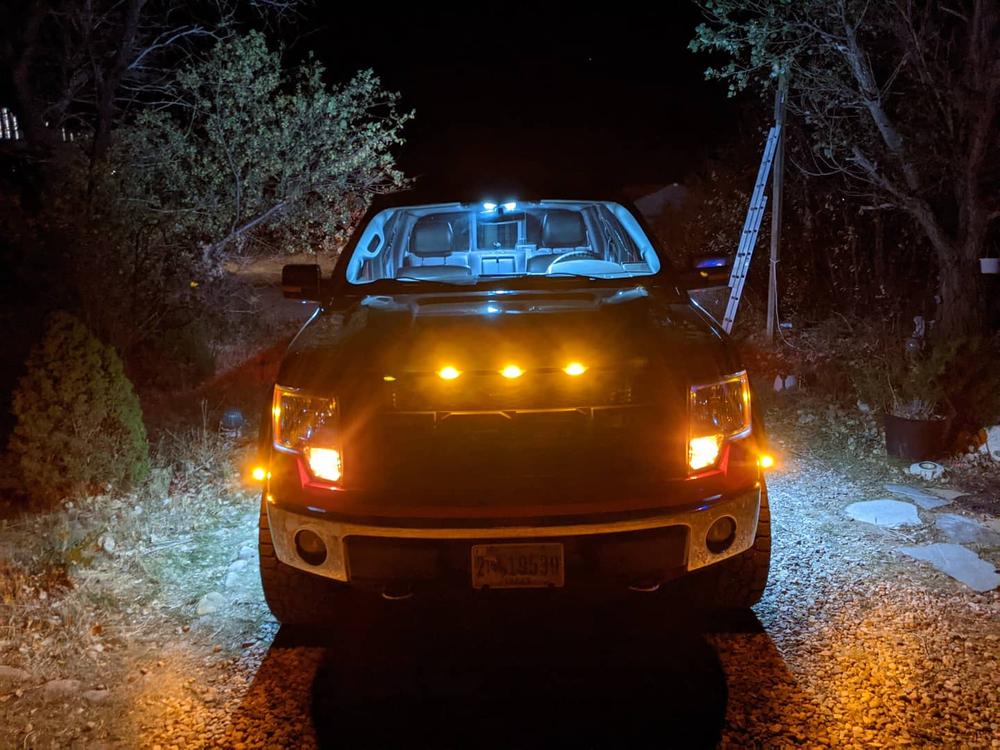 2009-14 F-150 Puddle Lamp Mirror LEDs - Customer Photo From Brian OConnor
