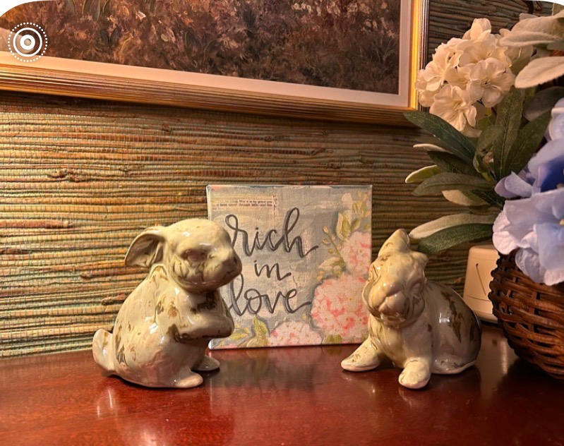 Sitting Rabbit Celery - Customer Photo From Mary B Dickson