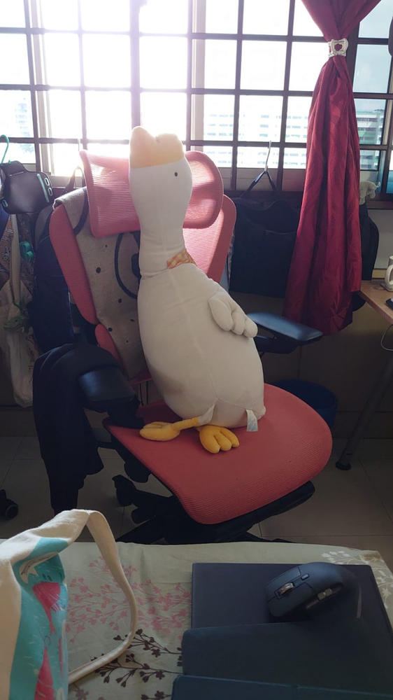 H1 Pro Ergonomic Office Chair - Customer Photo From Zi Yu Cheok