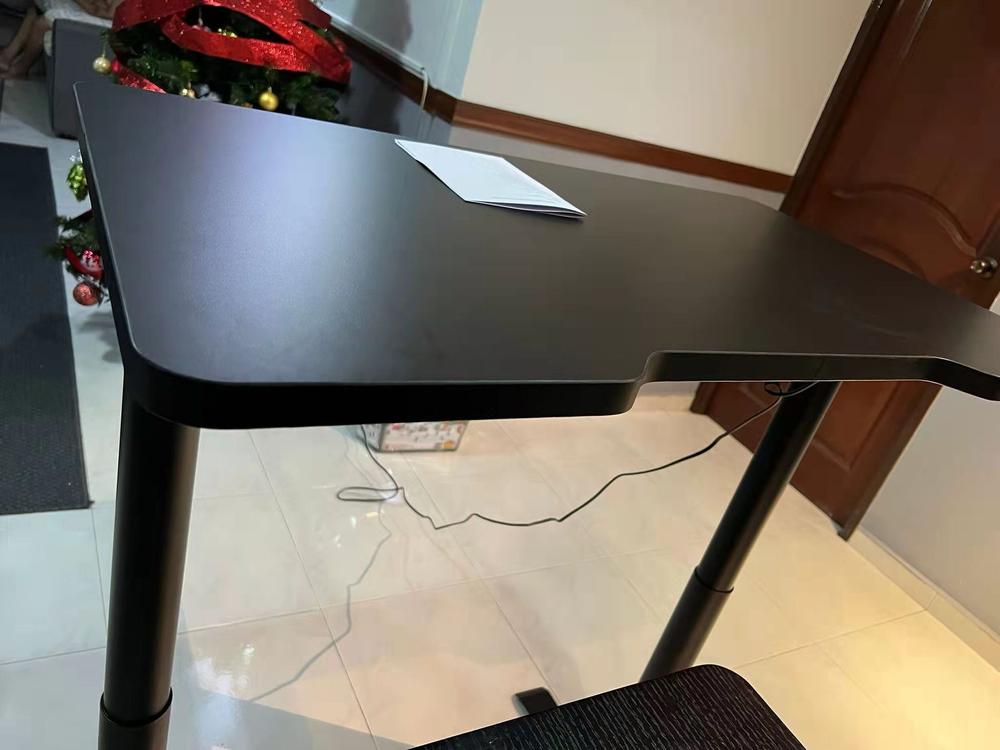 Smart Voice Control Lift Standing Desk S1 – HINOMI SG