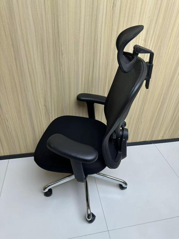 HINOMI Q1 Ergonomic Office Chair HINOMI SG