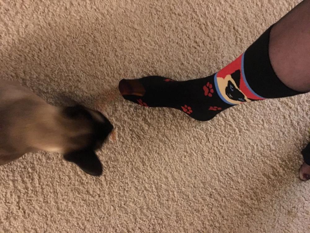 Cat Slipper Socks Women
