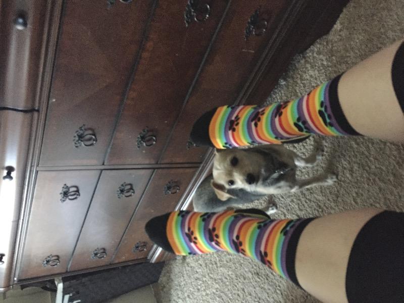 Rainbow Stripe Paw Print Socks Women