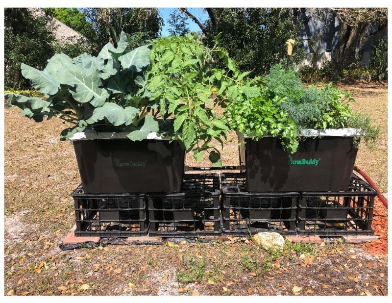 Earth Machine Compost Bin for Boston Residents (store pickup only) — Boston  Building Resources