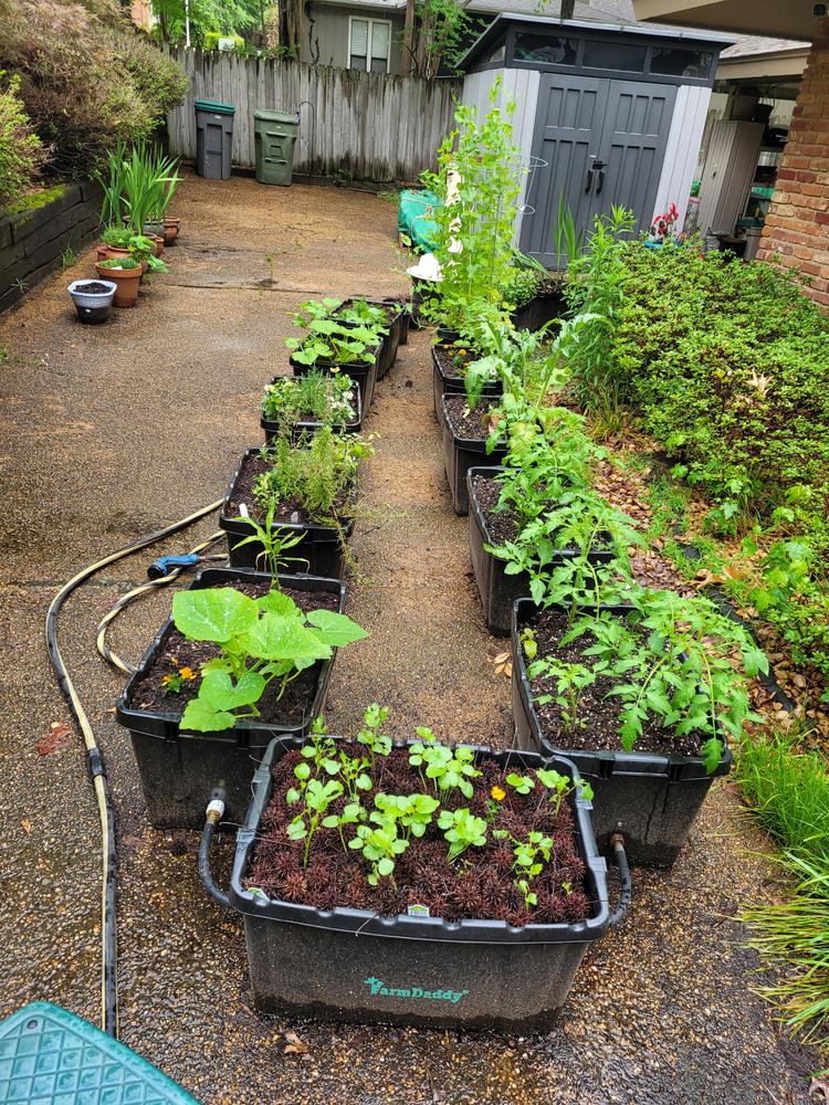 Earth Machine Compost Bin for Boston Residents (store pickup only) — Boston  Building Resources