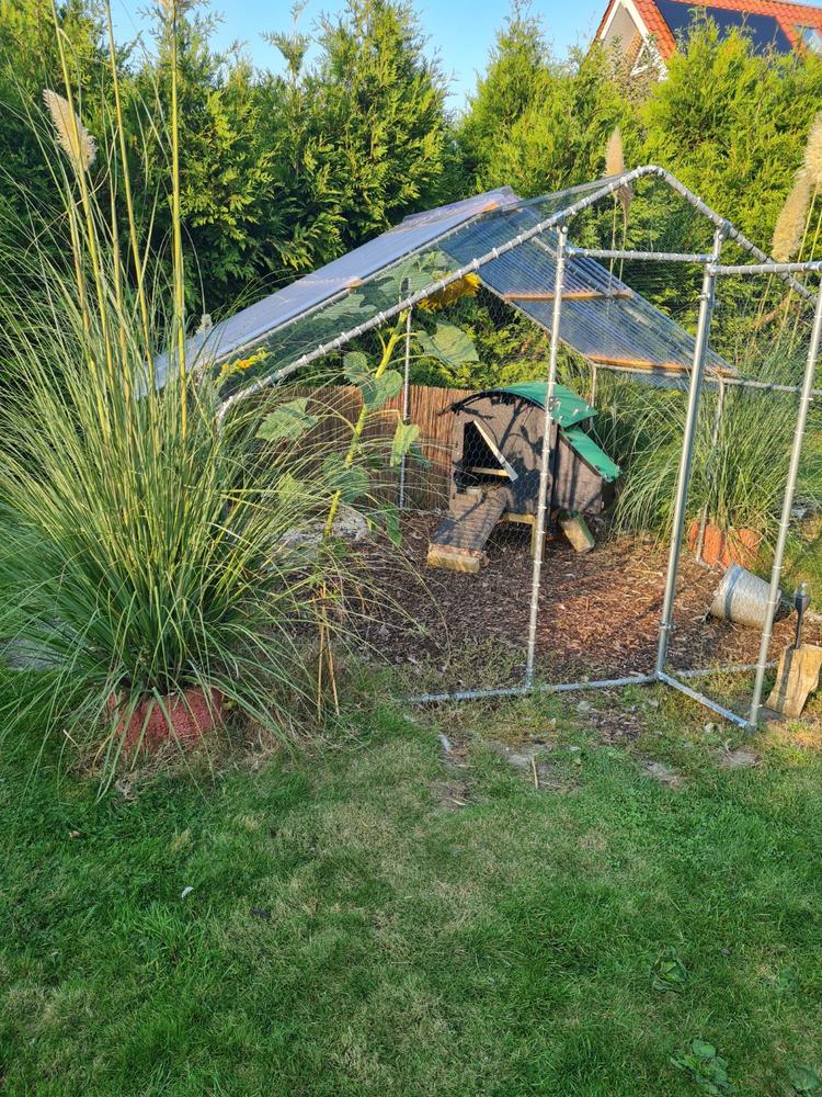 Chicken Coop - Customer Photo From Anonymous