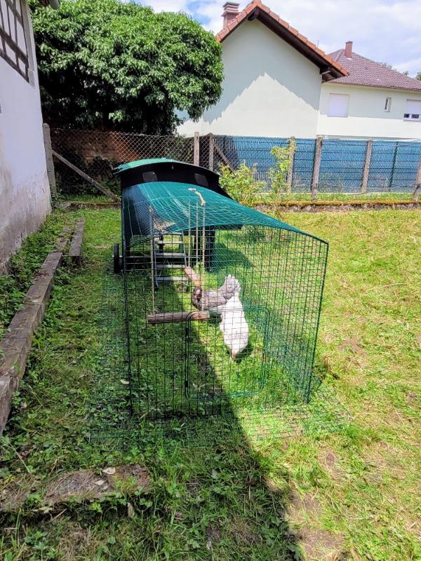 Chicken Coop - Customer Photo From Nathalie JUNG-FAUCONNIER