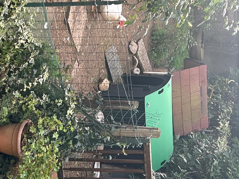 Scatola In Legno Dipinta A Mano - Anatra In Legno - Italia - Foto 4