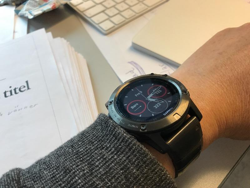 fenix 5 sapphire slate grey