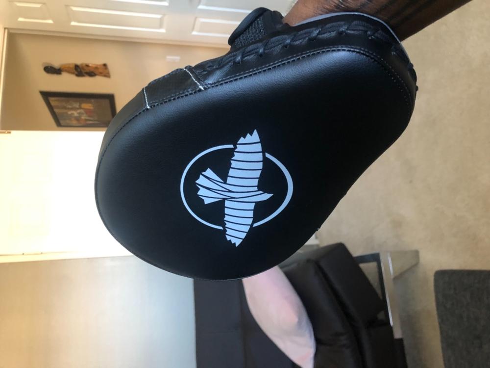 PTS3 Focus Mitts - Customer Photo From Chet A.